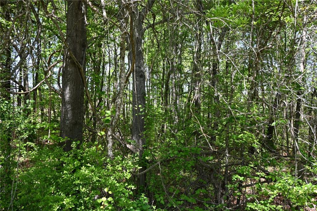 2755 Langley Road Southwest Loganville, GA 30052 - Photo 13 of 49 a view of a lush green forest