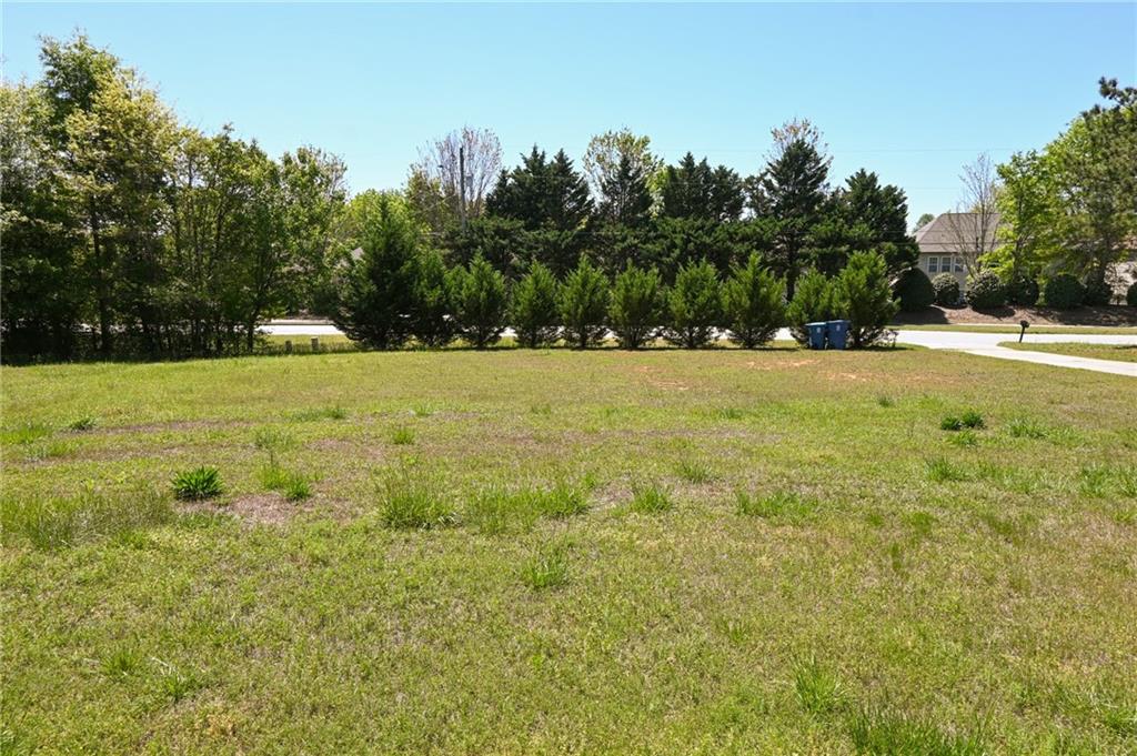 2755 Langley Road Southwest Loganville, GA 30052 - Photo 44 of 49 a view of a field with an trees