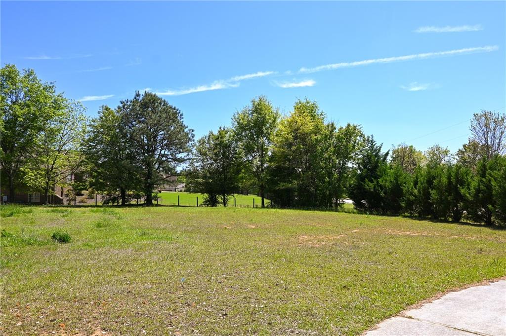 2755 Langley Road Southwest Loganville, GA 30052 - Photo 49 of 49 a view of a field with a trees in the background