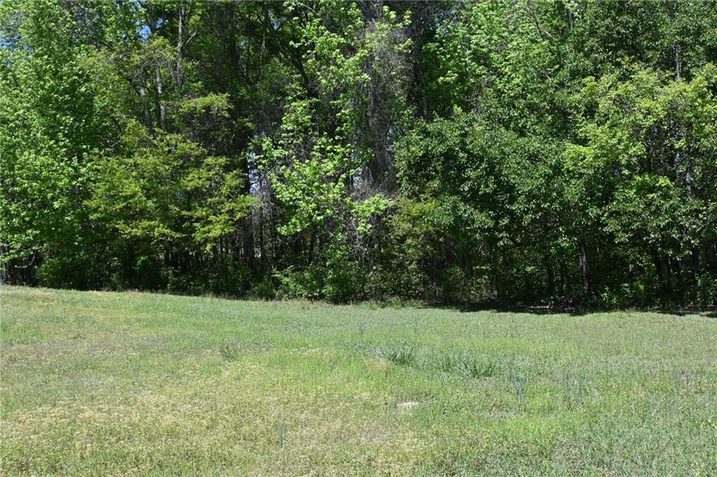 2755 Langley Road Southwest Loganville, GA 30052 - Photo 9 of 49 a view of outdoor space with a garden