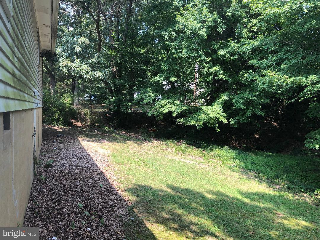 12484 Rousby Hall Road Lusby, MD 20657 - Photo 2 of 11 a view of yard with green space