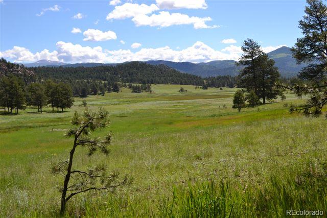 1085 County 111 Road Florissant, CO 80816 - Photo 11 of 35 Gallery Image 11