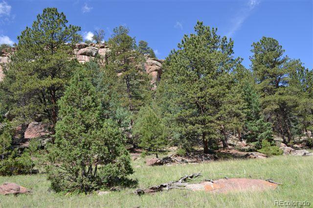 1085 County 111 Road Florissant, CO 80816 - Photo 13 of 35 Gallery Image 13