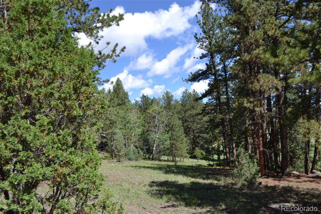 1085 County 111 Road Florissant, CO 80816 - Photo 15 of 35 Gallery Image 15