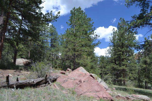 1085 County 111 Road Florissant, CO 80816 - Photo 16 of 35 Gallery Image 16