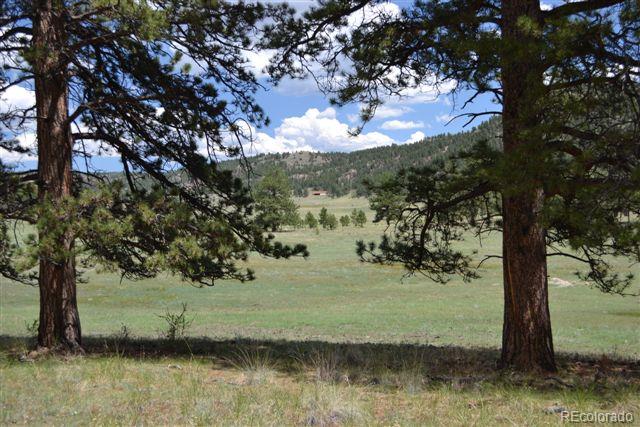 1085 County 111 Road Florissant, CO 80816 - Photo 17 of 35 Gallery Image 17