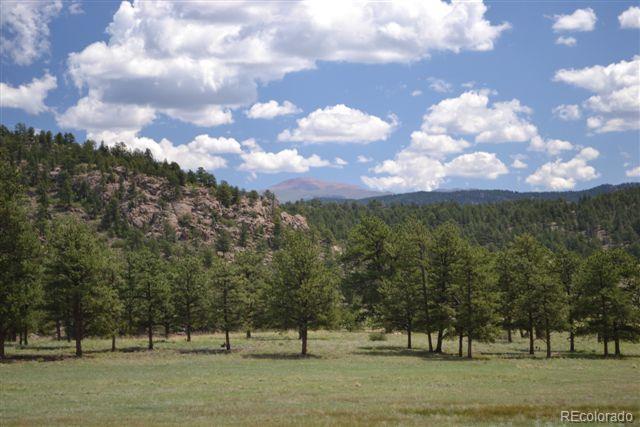 1085 County 111 Road Florissant, CO 80816 - Photo 18 of 35 Gallery Image 18