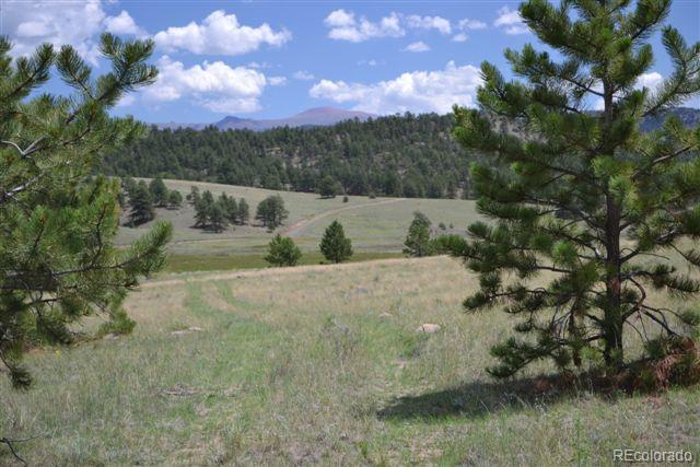 1085 County 111 Road Florissant, CO 80816 - Photo 19 of 35 Gallery Image 19