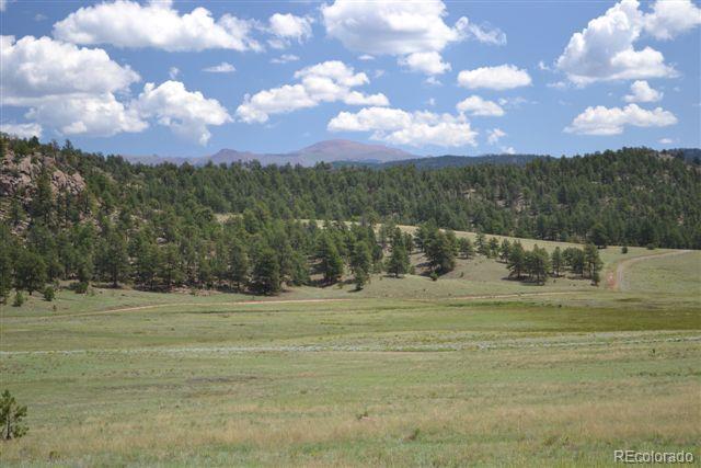 1085 County 111 Road Florissant, CO 80816 - Photo 20 of 35 Gallery Image 20
