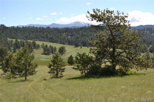 1085 County 111 Road Florissant, CO 80816 - Photo 2 of 35 Gallery Image 2