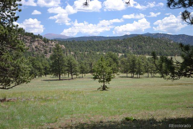 1085 County 111 Road Florissant, CO 80816 - Photo 21 of 35 Gallery Image 21