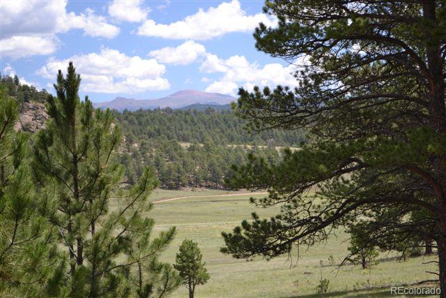 1085 County 111 Road Florissant, CO 80816 - Photo 22 of 35 Gallery Image 22