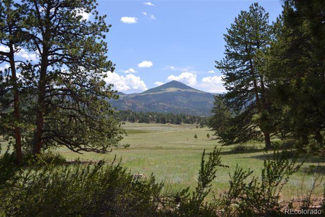 1085 County 111 Road Florissant, CO 80816 - Photo 23 of 35 Gallery Image 23