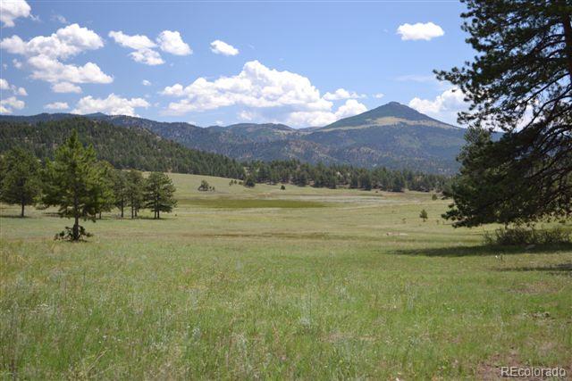 1085 County 111 Road Florissant, CO 80816 - Photo 24 of 35 Gallery Image 24