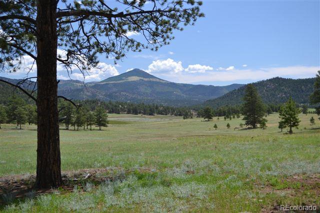 1085 County 111 Road Florissant, CO 80816 - Photo 25 of 35 Gallery Image 25