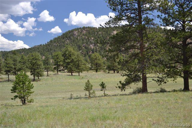 1085 County 111 Road Florissant, CO 80816 - Photo 26 of 35 Gallery Image 26
