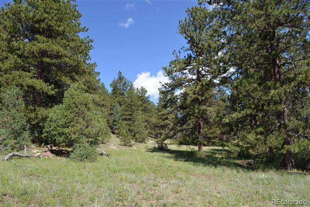 1085 County 111 Road Florissant, CO 80816 - Photo 27 of 35 Gallery Image 27