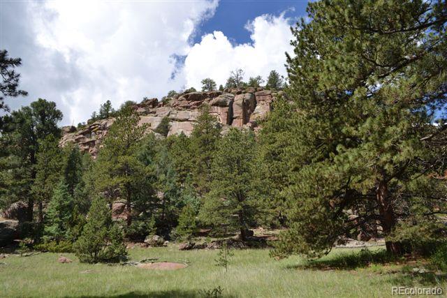 1085 County 111 Road Florissant, CO 80816 - Photo 28 of 35 Gallery Image 28