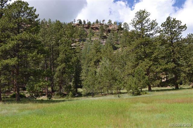 1085 County 111 Road Florissant, CO 80816 - Photo 29 of 35 Gallery Image 29