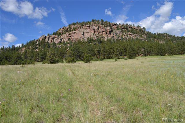 1085 County 111 Road Florissant, CO 80816 - Photo 31 of 35 Gallery Image 31
