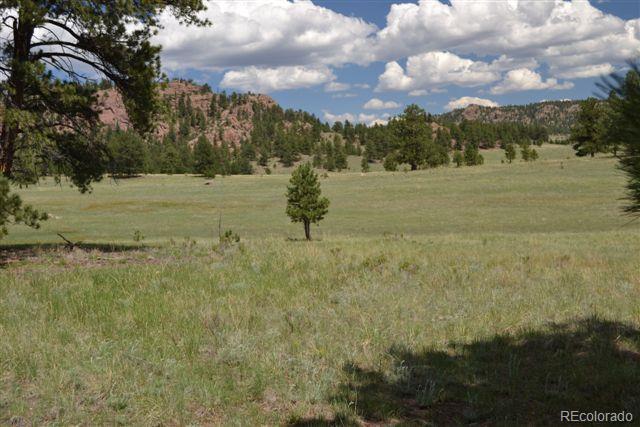 1085 County 111 Road Florissant, CO 80816 - Photo 32 of 35 Gallery Image 32