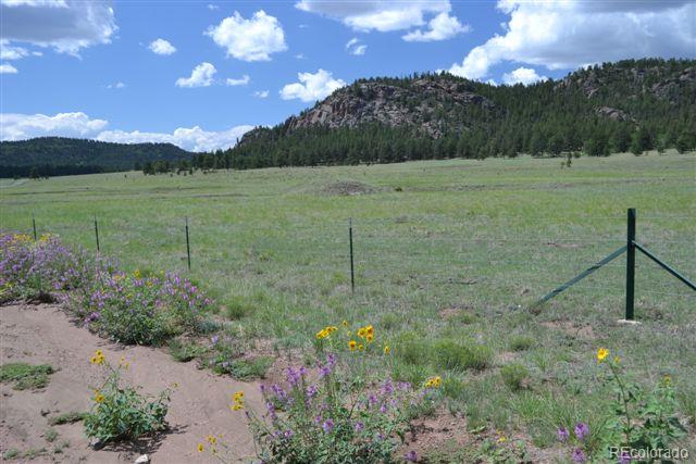 1085 County 111 Road Florissant, CO 80816 - Photo 34 of 35 Gallery Image 34