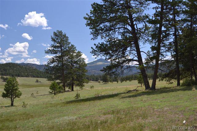 1085 County 111 Road Florissant, CO 80816 - Photo 4 of 35 Gallery Image 4
