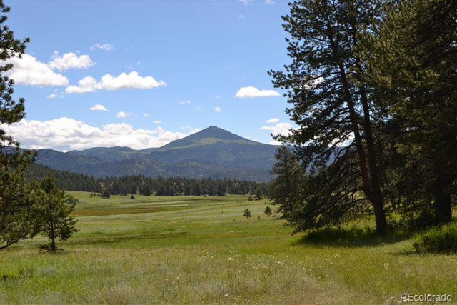 1085 County 111 Road Florissant, CO 80816 - Photo 5 of 35 Gallery Image 5