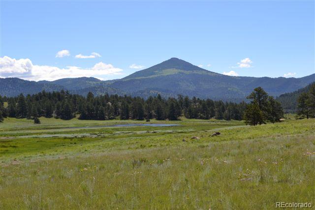1085 County 111 Road Florissant, CO 80816 - Photo 6 of 35 Gallery Image 6