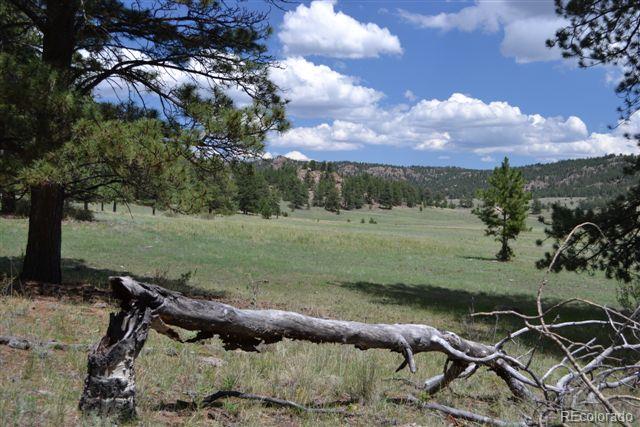 1085 County 111 Road Florissant, CO 80816 - Photo 7 of 35 Gallery Image 7