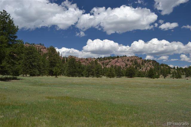 1085 County 111 Road Florissant, CO 80816 - Photo 8 of 35 Gallery Image 8