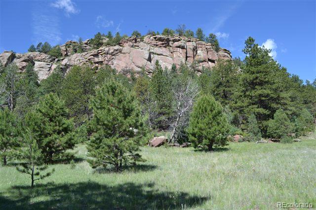 1085 County 111 Road Florissant, CO 80816 - Photo 9 of 35 Gallery Image 9