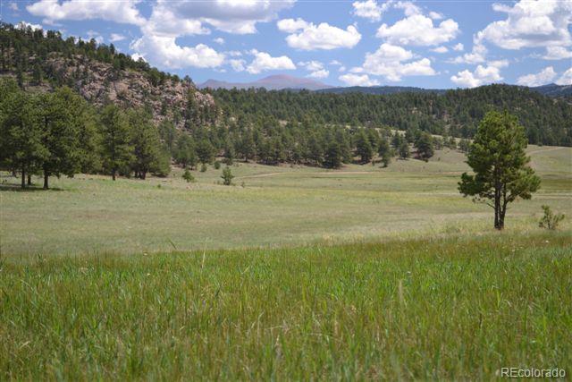 1085 County 111 Road Florissant, CO 80816 - Photo 10 of 35 Gallery Image 10