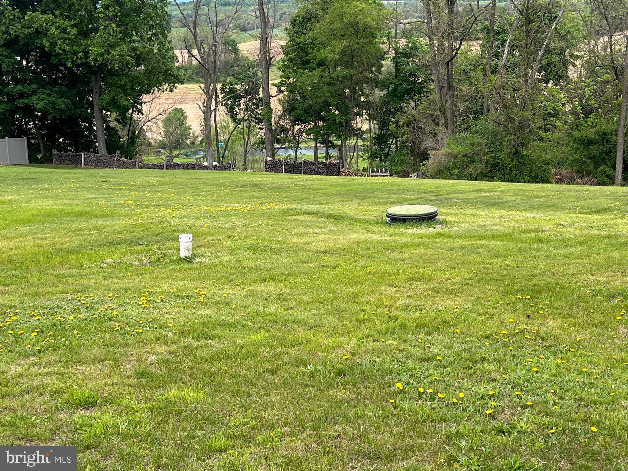 1471 Old Bernville Road Leesport, PA 19533 - Photo 20 of 23 Big Back Yard