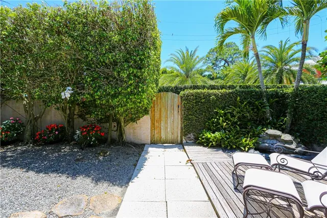 a view of a backyard