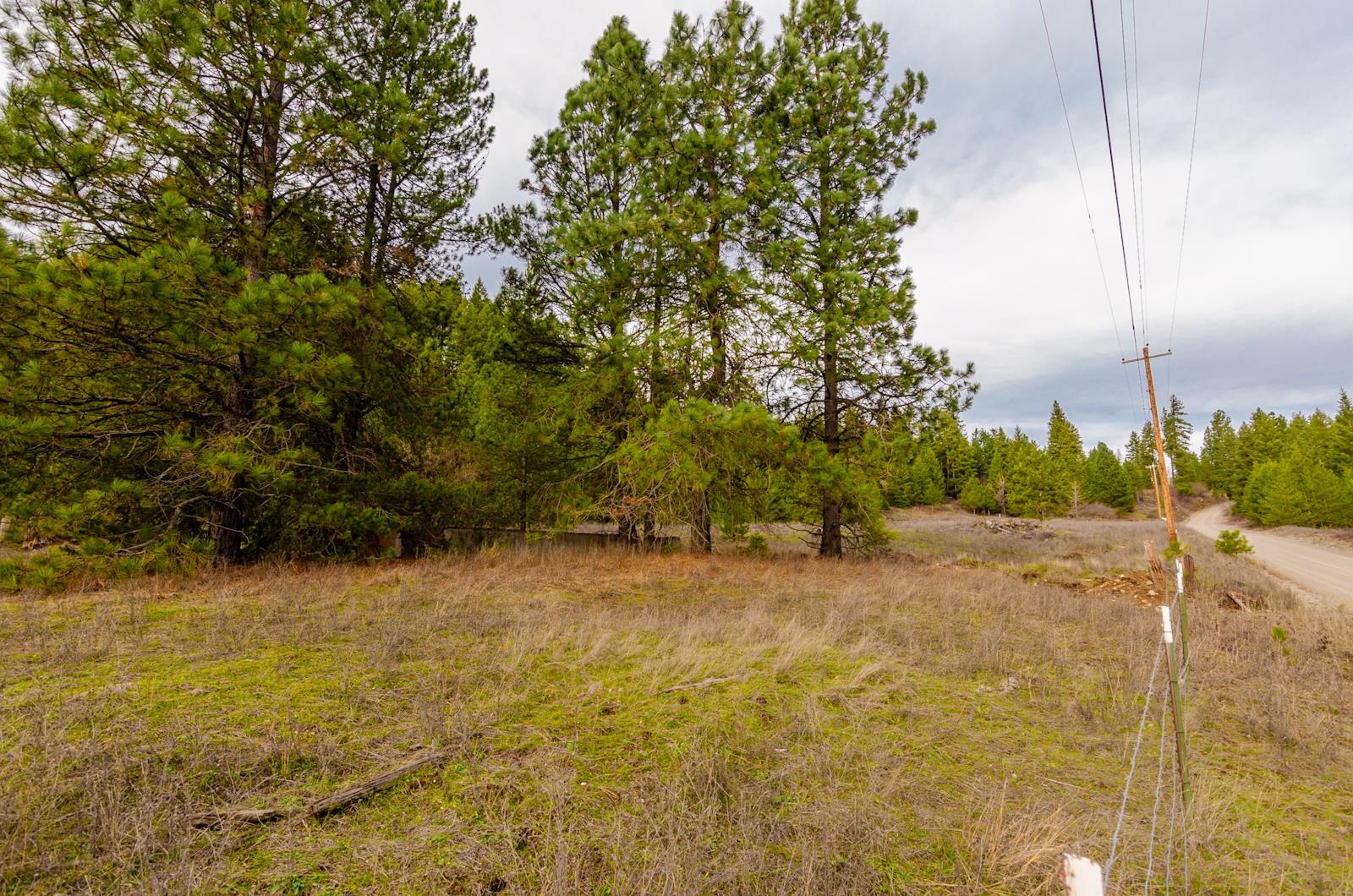 ??? Scotia Road Newport, WA 99156 - Photo 29 of 29