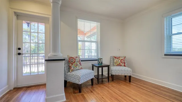 a view of a yard with plants and trees