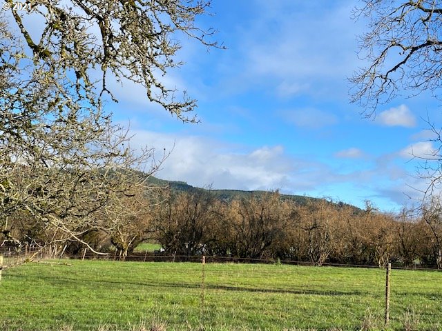 3225 Hayden Bridge Road Springfield, OR 97477 - Photo 3 of 25