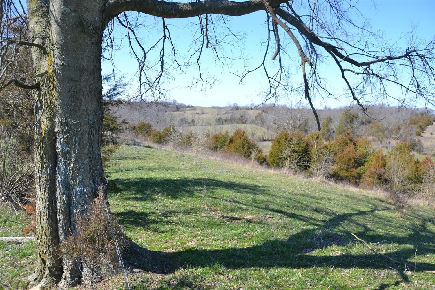 3251 Cocanougher Road Perryville, KY 40468 - Photo 7 of 16 Photo 7