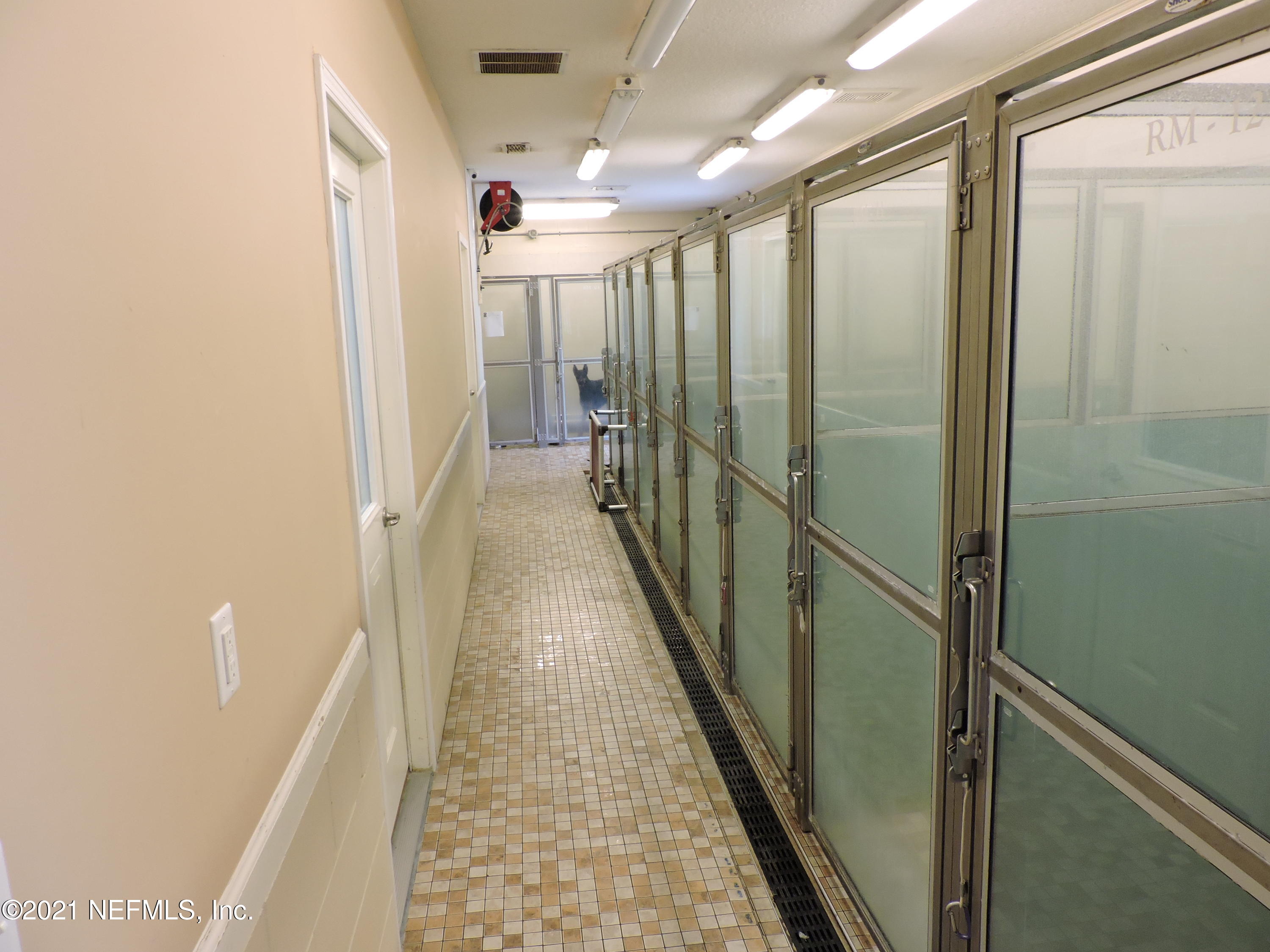 3629 Pacetti Road St. Augustine, FL 32092 - Photo 16 of 70 Boarding Suites