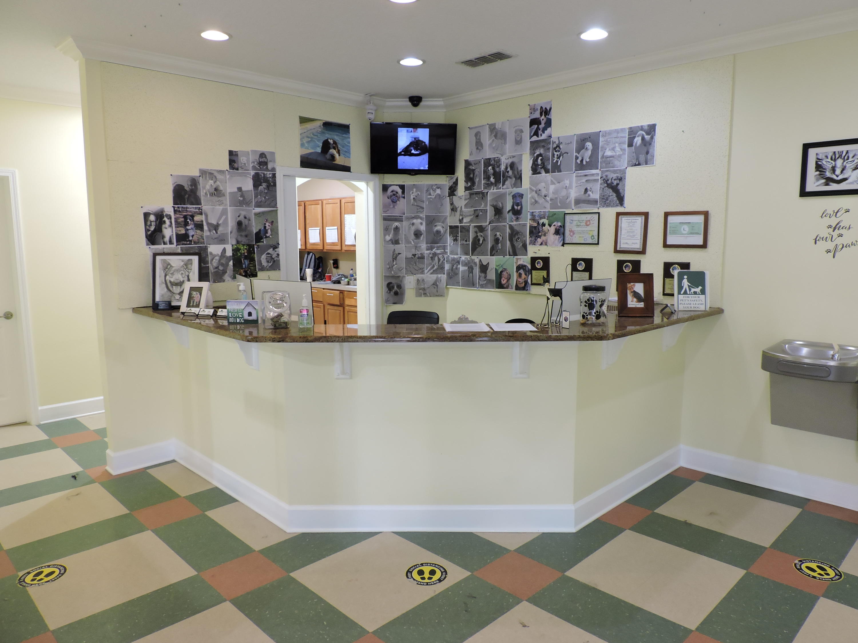 3629 Pacetti Road St. Augustine, FL 32092 - Photo 8 of 70 Reception