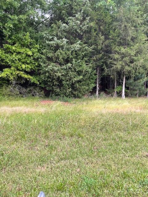 Lot 44 Woodglenn Road Catawba, SC 29704 - Photo 1 of 1 Gallery Image 1