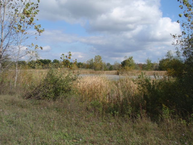 8000 East Broomfield Road Shepherd, MI 48883 - Photo 5 of 11 1865622-4.JPG