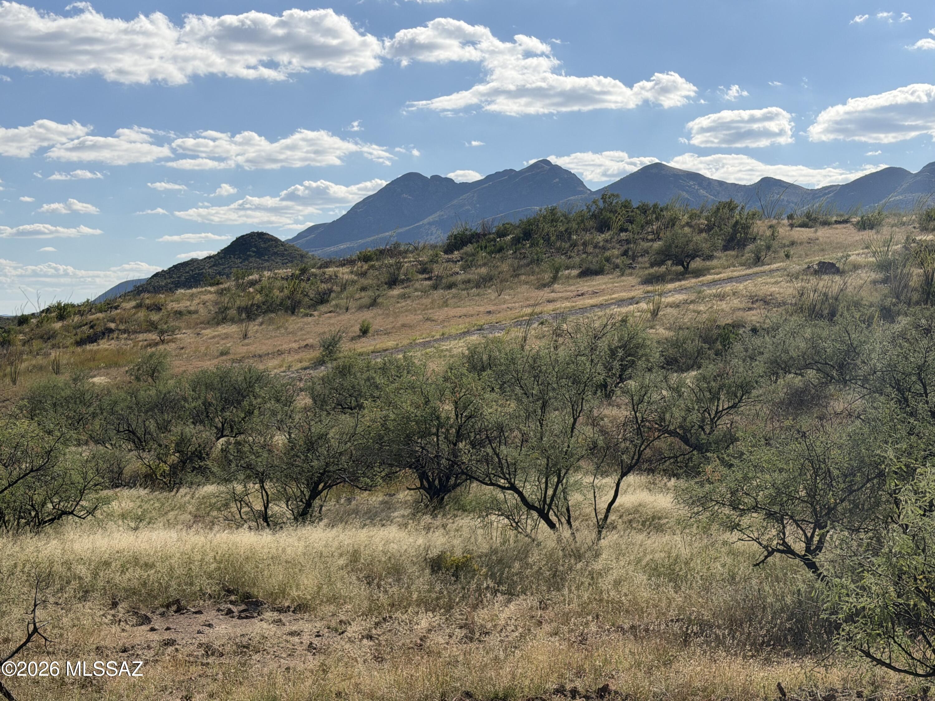 Tbd Tbd Castano Court, Unit 86 Rio Rico, AZ 85648 - Photo 16 of 32 SAL 86.4d IMG_1998