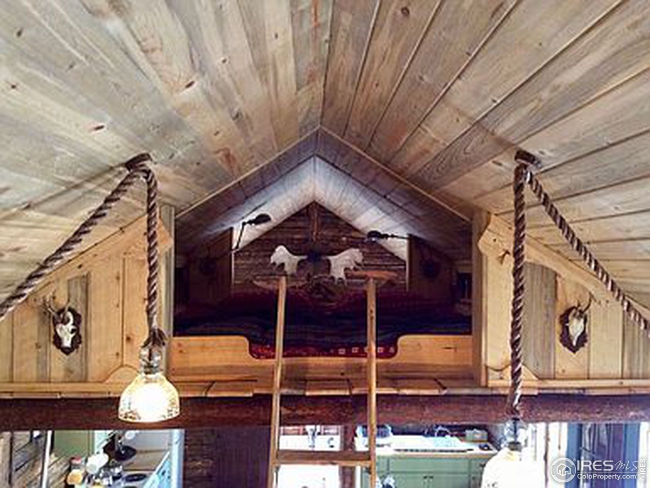 609 Riverside Drive Lyons, CO 80540 - Photo 9 of 17