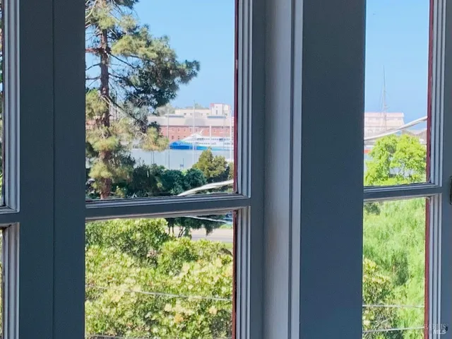 a view of a garden from a window