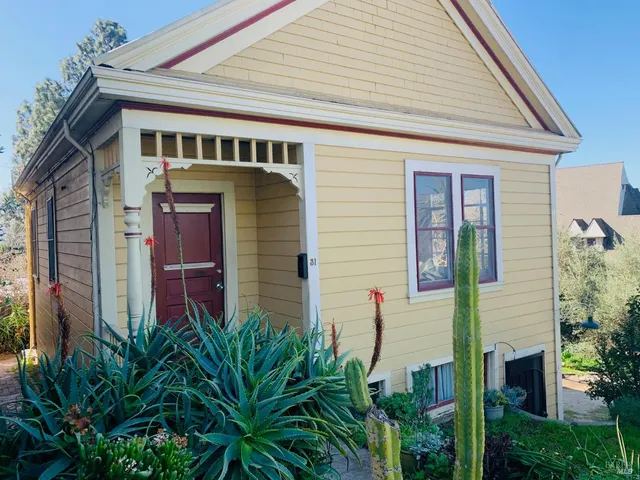 a front view of a house with plants