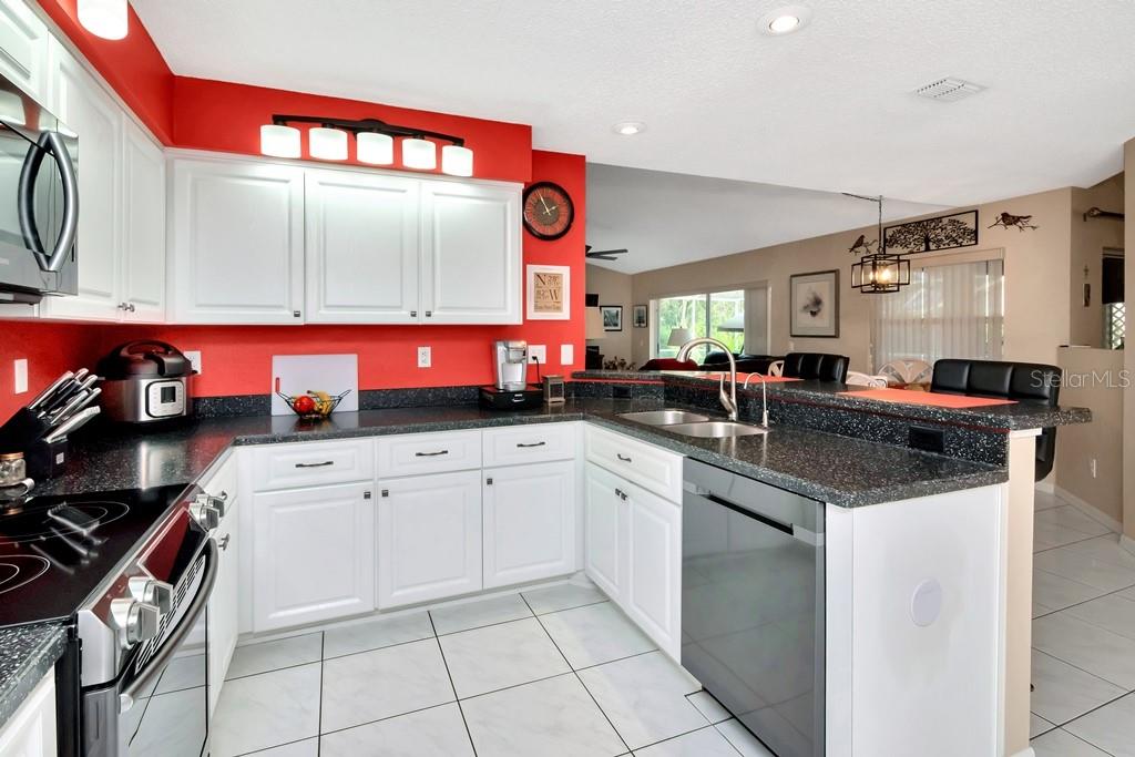 9515 Springmeadow Drive New Port Richey, FL 34655 - Photo 14 of 45 Gallery Image 14