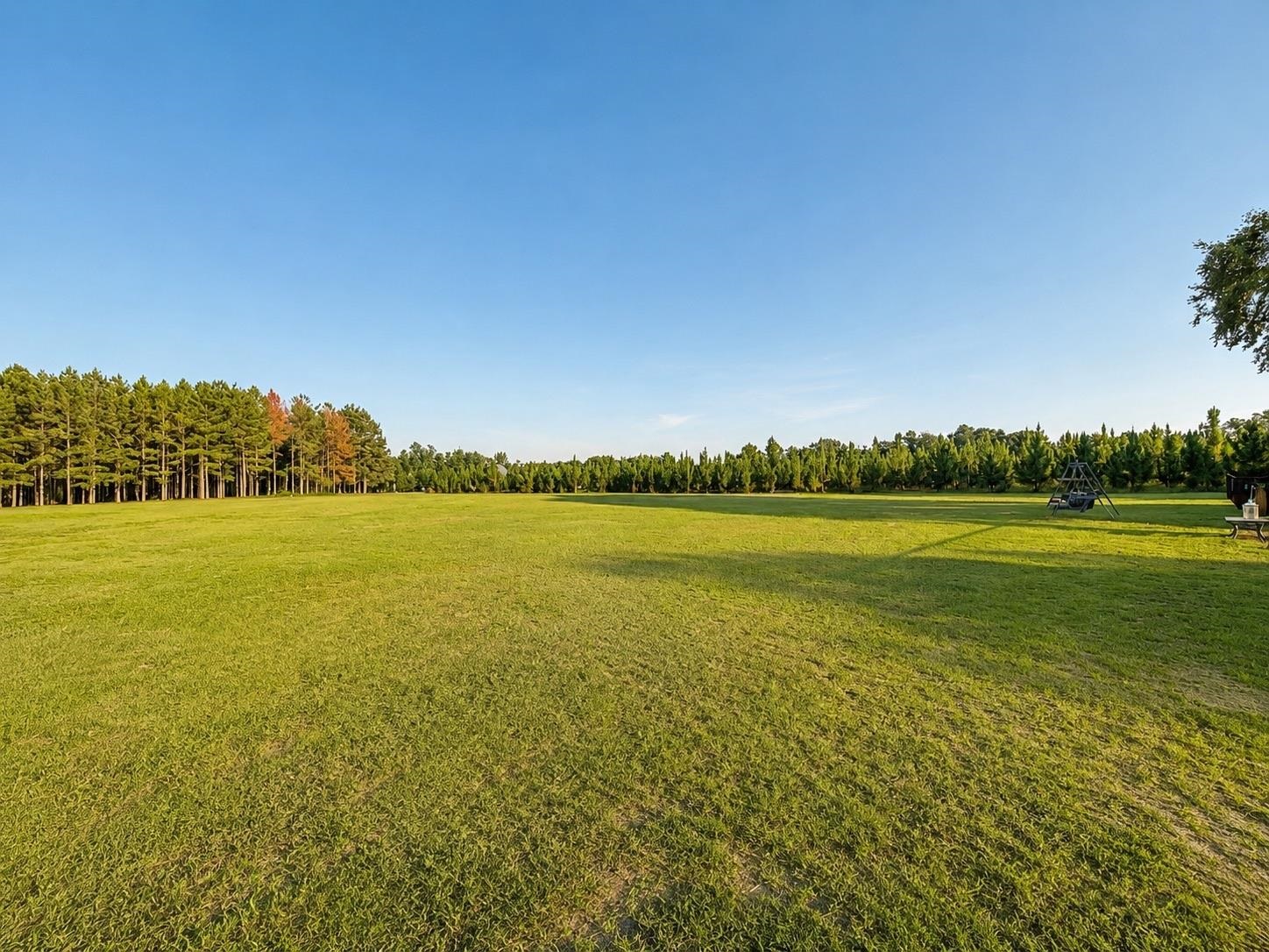 4275 State Rd S-21-359 Johnsonville, SC 29555 - Photo 5 of 58