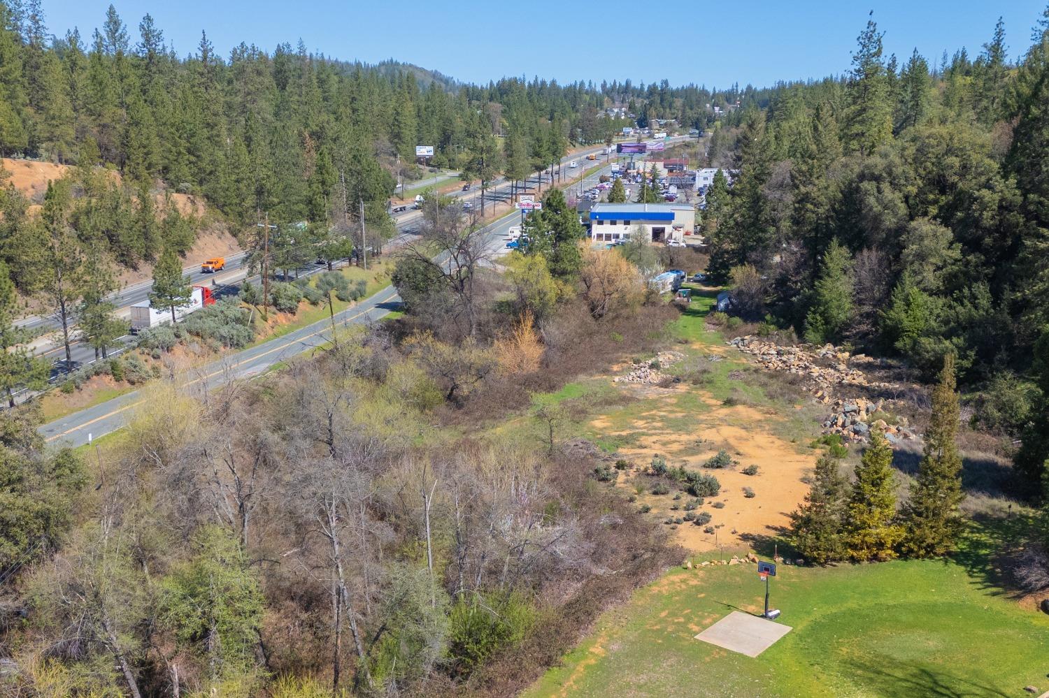 1836 Canyon Way Colfax, CA 95713 - Photo 18 of 25 a view of a forest with a tree in the background